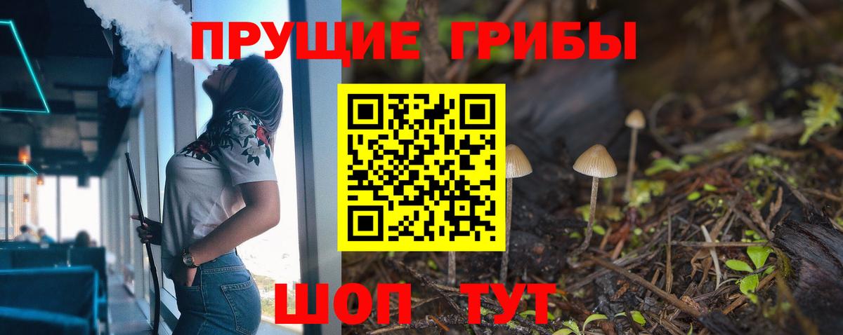 Псилоцибиновые грибы ЛСД Гусиноозёрск